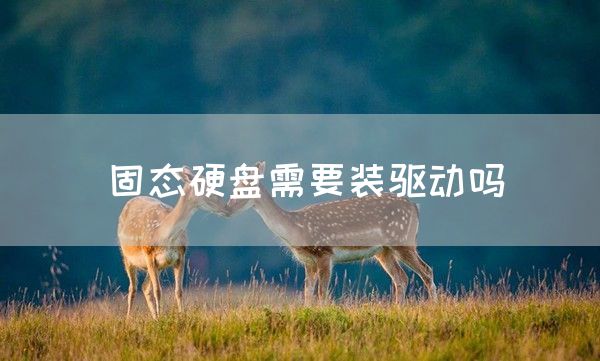 固态硬盘需要装驱动吗(图1)