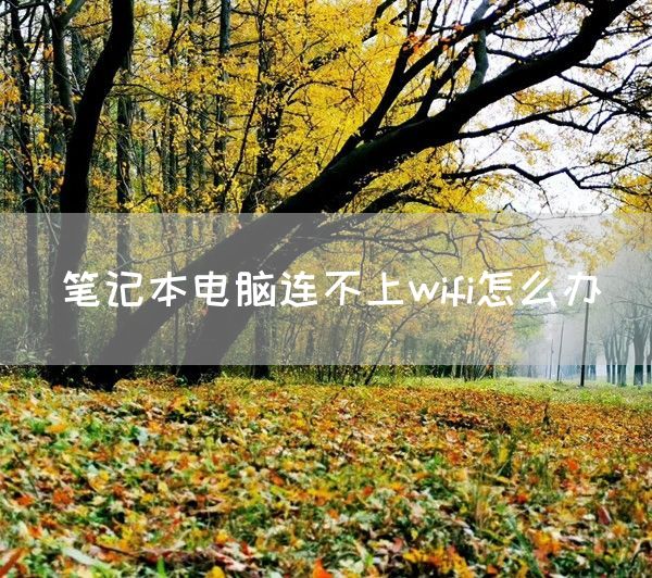 笔记本电脑连不上wifi怎么办(图1)