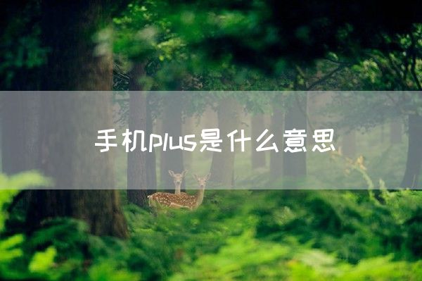 手机plus是什么意思(图1)