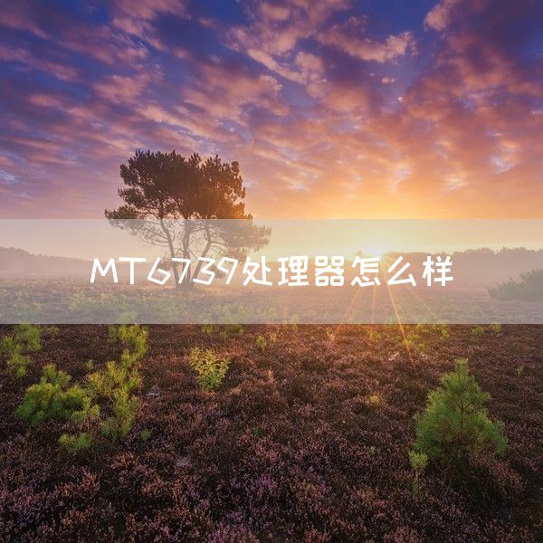 MT6739处理器怎么样