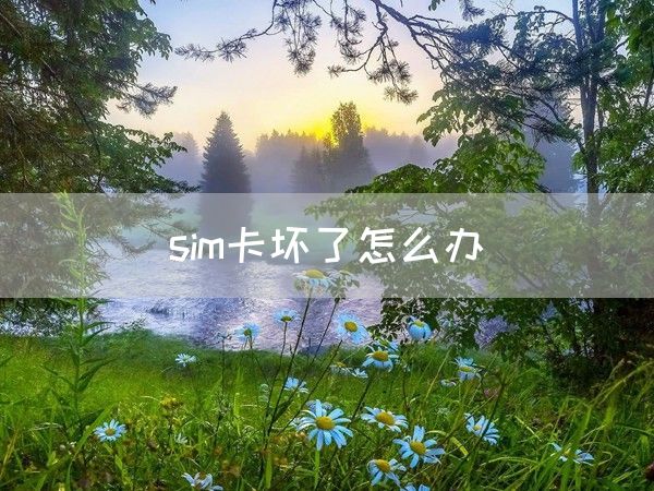 sim卡坏了怎么办(图1)