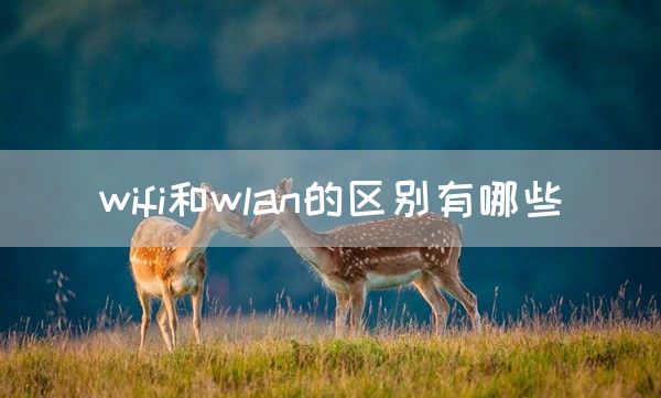 wifi和wlan的区别有哪些(图1)