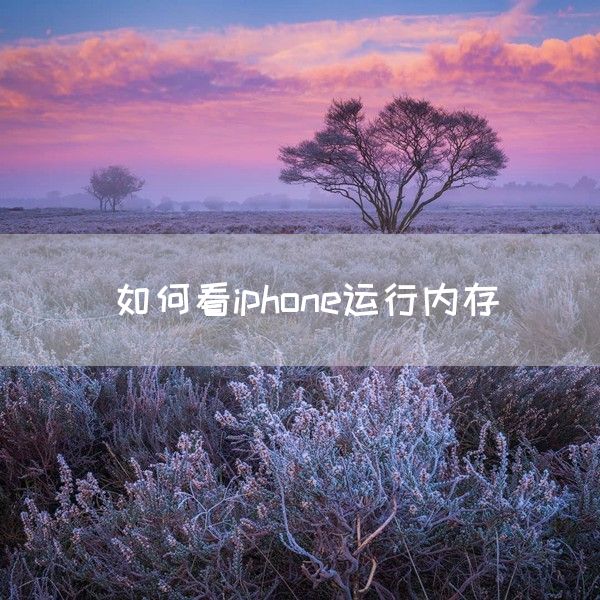 如何看iphone运行内存(图1)