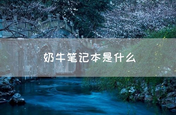 奶牛笔记本是什么(图1)