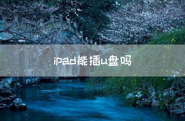 ipad能插u盘吗(图1)