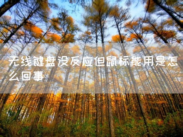 无线键盘没反应但鼠标能用是怎么回事(图1)