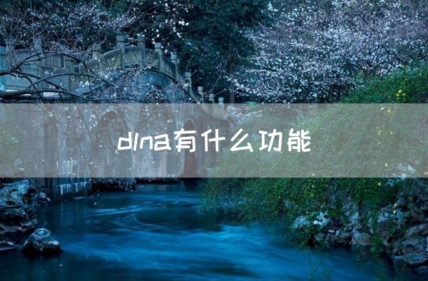 dlna有什么功能(图1)