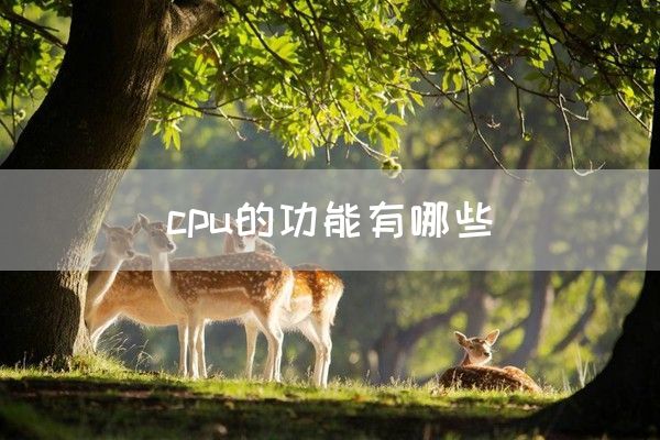 cpu的功能有哪些(图1)