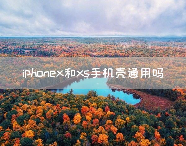 iphonex和xs手机壳通用吗(图1)