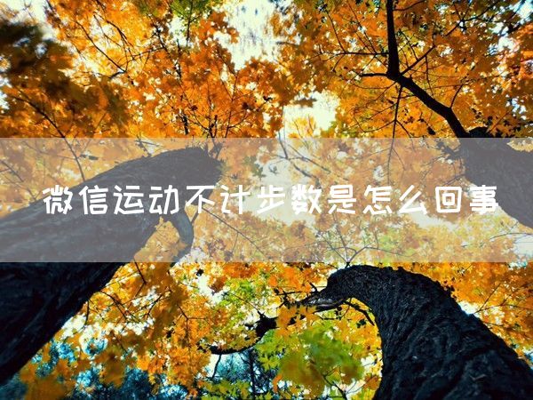 微信运动不计步数是怎么回事(图1)