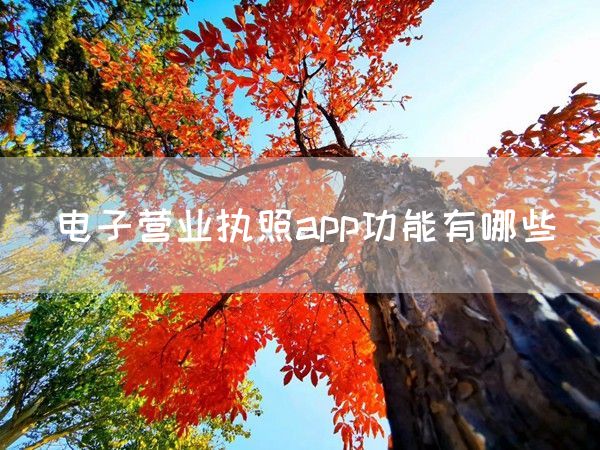 电子营业执照app功能有哪些(图1)