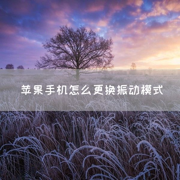 苹果手机怎么更换振动模式(图1)