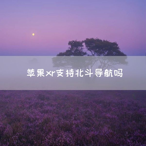 苹果xr支持北斗导航吗(图1)