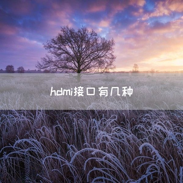 hdmi接口有几种(图1)