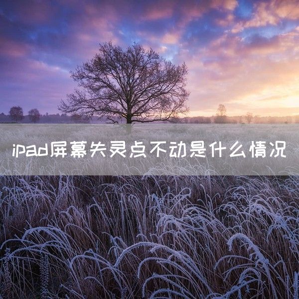 ipad屏幕失灵点不动是什么情况(图1)