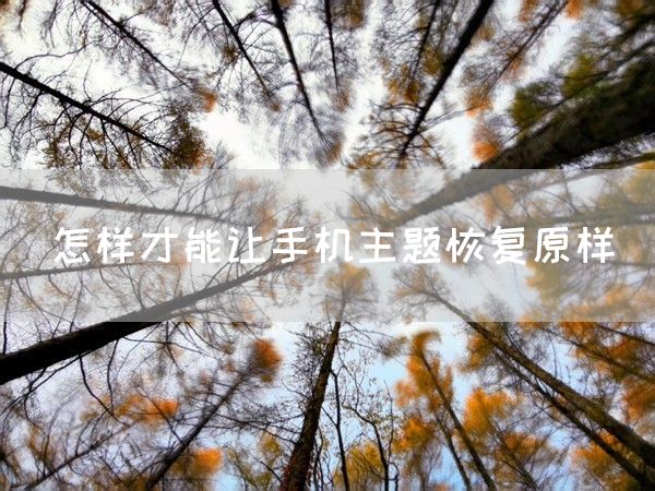 怎样才能让手机主题恢复原样(图1)