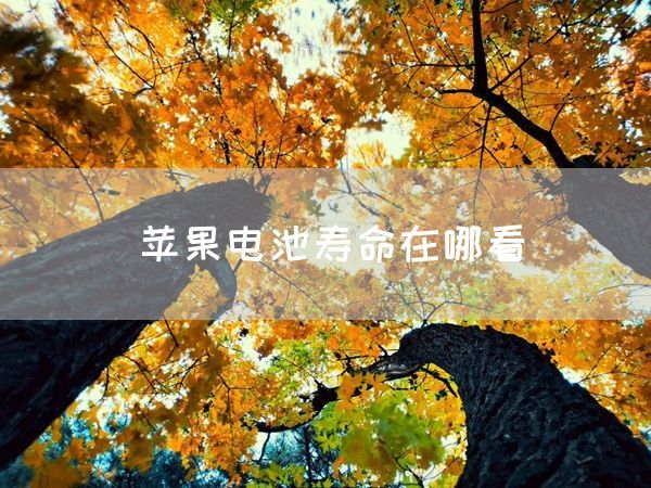 苹果电池寿命在哪看(图1)