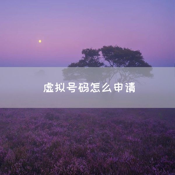 虚拟号码怎么申请(图1)