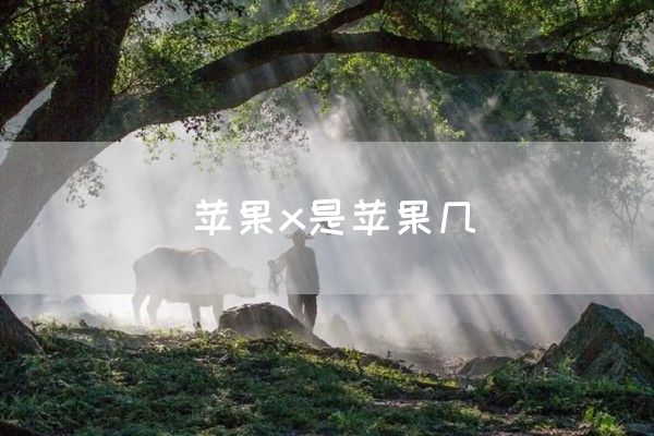 苹果x是苹果几