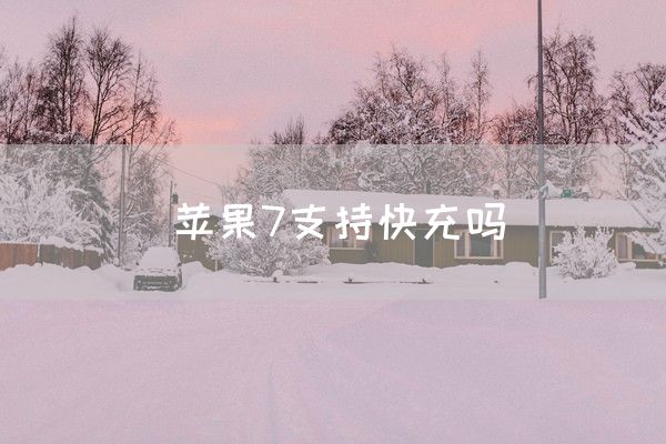 苹果7支持快充吗(图1)