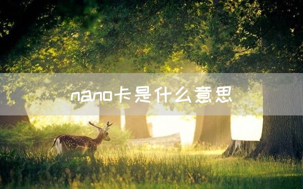 nano卡是什么意思(图1)