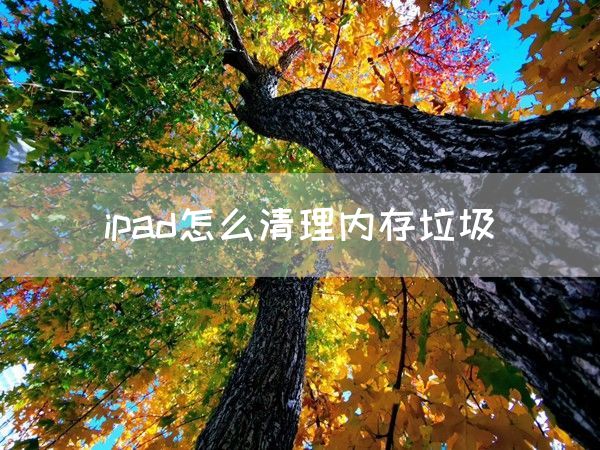 ipad怎么清理内存垃圾(图1)