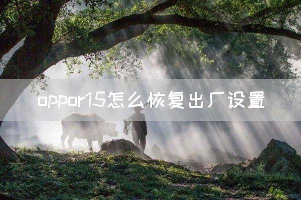 oppor15怎么恢复出厂设置(图1)