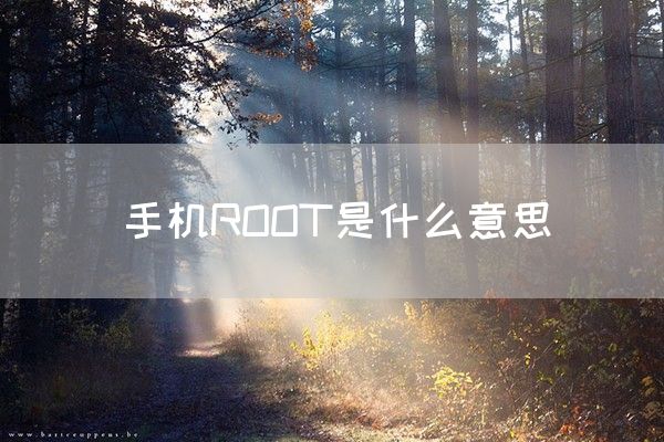 手机ROOT是什么意思(图1)