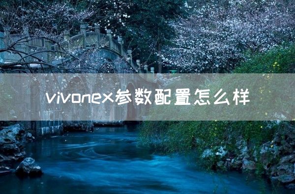 vivonex参数配置怎么样(图1)