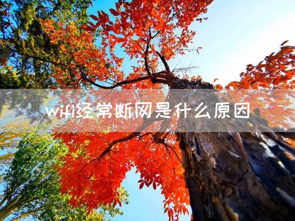 wifi经常断网是什么原因(图1)