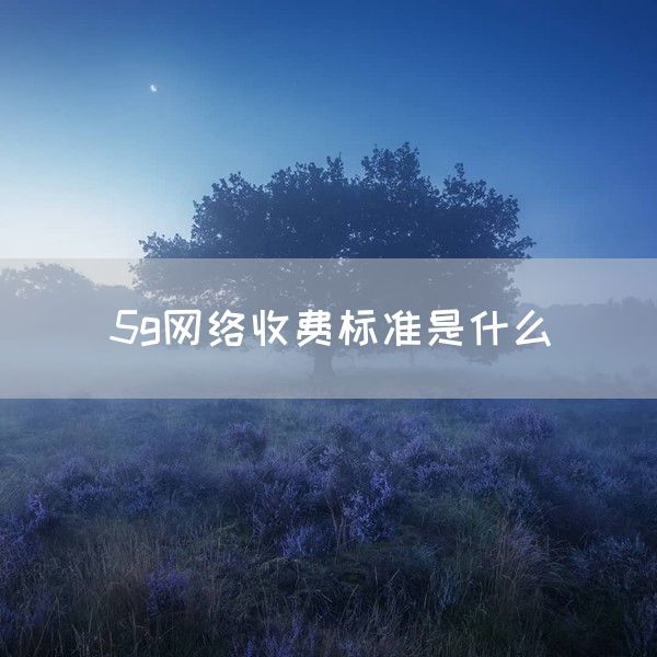 5g网络收费标准是什么(图1)