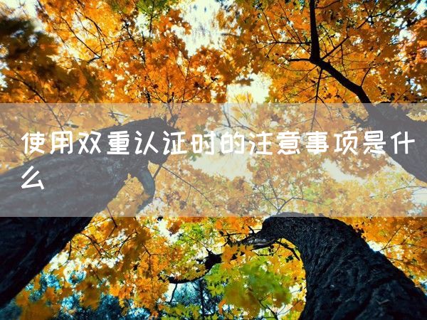 使用双重认证时的注意事项是什么(图1)