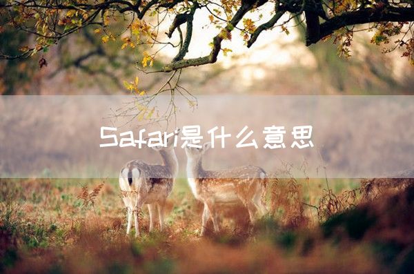 Safari是什么意思(图1)