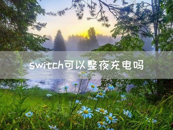 switch可以整夜充电吗