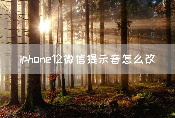 iphone12微信提示音怎么改(图1)