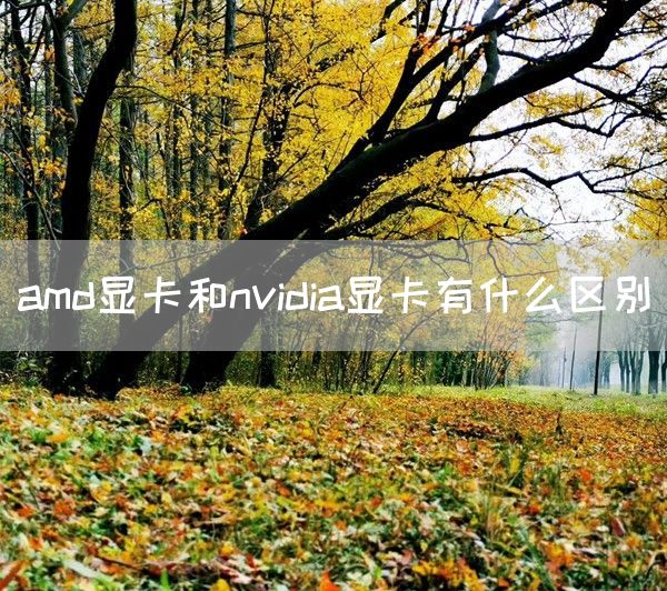 amd显卡和nvidia显卡有什么区别(图1)