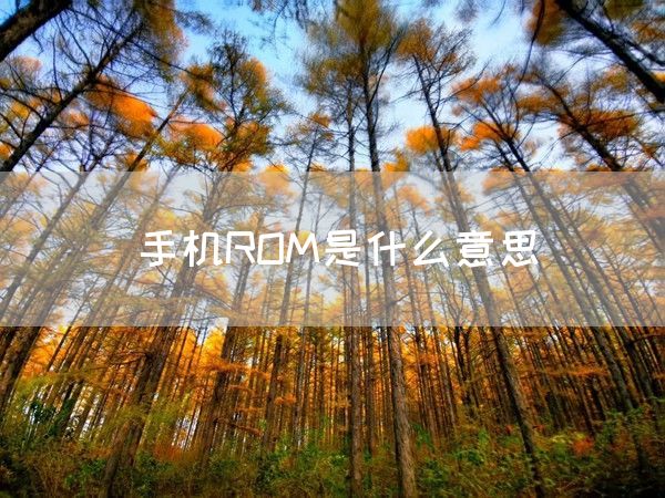 手机ROM是什么意思(图1)