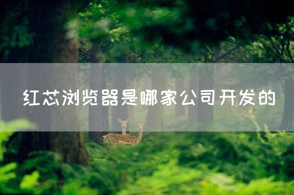 红芯浏览器是哪家公司开发的(图1)