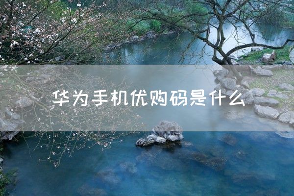 华为手机优购码是什么(图1)