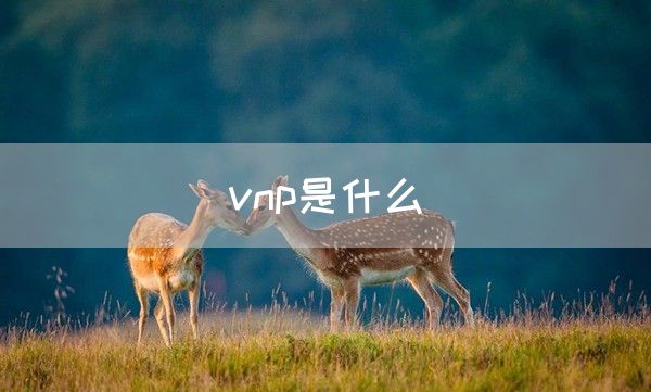 vnp是什么(图1)