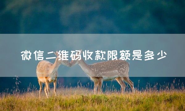 微信二维码收款限额是多少(图1)