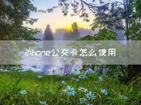 iphone公交卡怎么使用(图1)