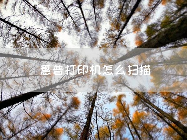 惠普打印机怎么扫描(图1)