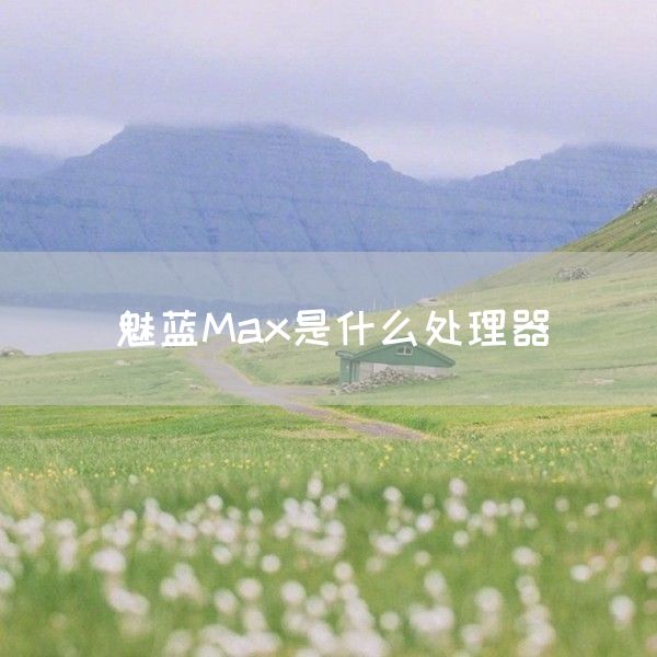 魅蓝Max是什么处理器(图1)