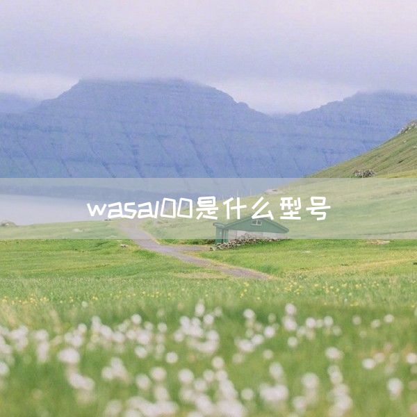 wasal00是什么型号(图1)