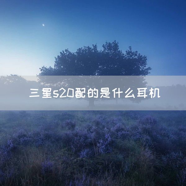 三星s20配的是什么耳机(图1)