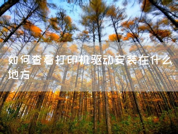 如何查看打印机驱动安装在什么地方(图1)