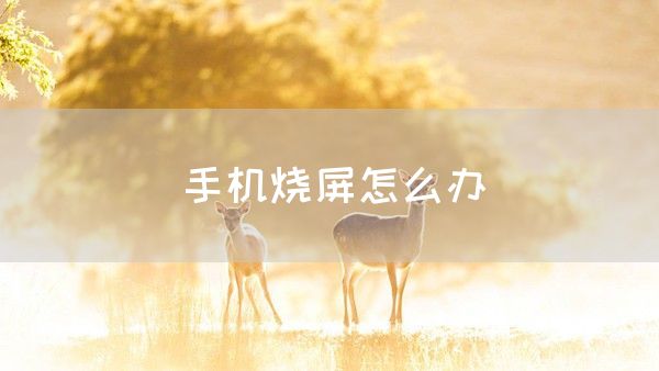 手机烧屏怎么办(图1)