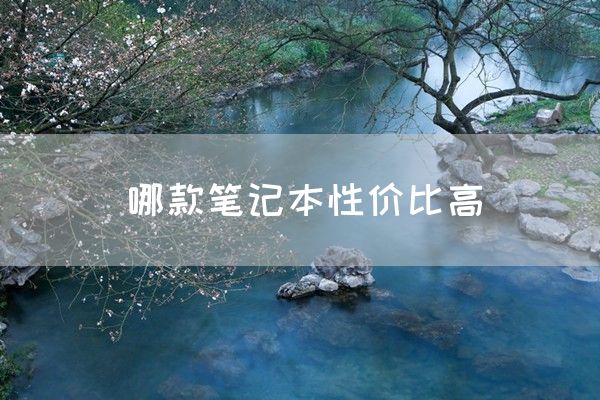 哪款笔记本性价比高(图1)