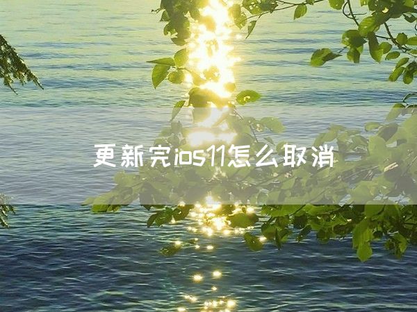 更新完ios11怎么取消(图1)